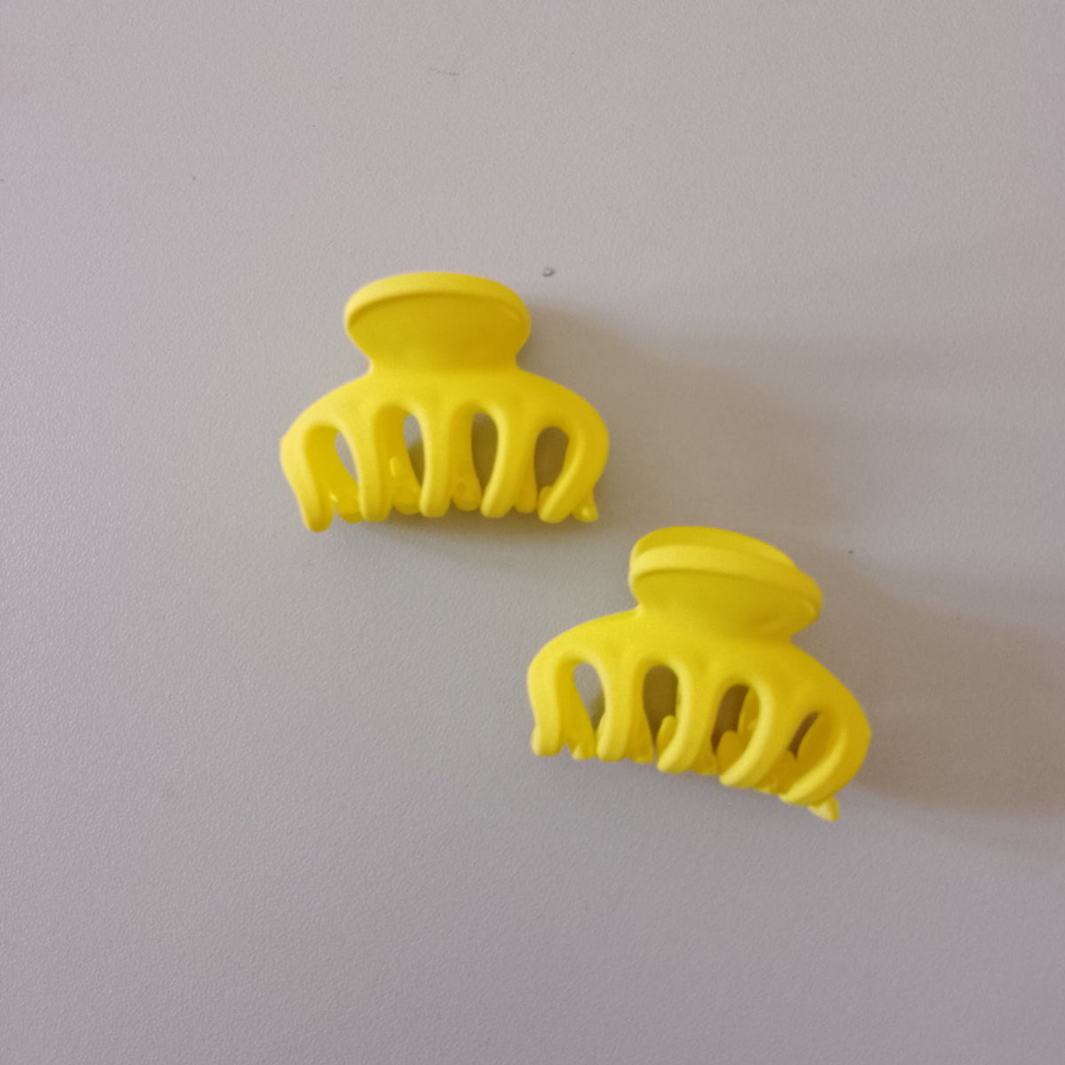 Vibrant Matte Mini Hair Claw Clips Pair
